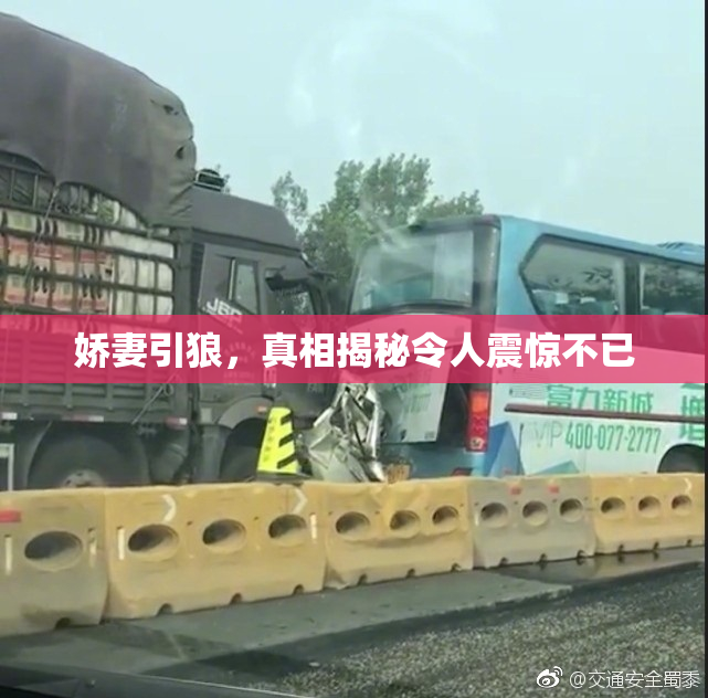 娇妻引狼，真相揭秘令人震惊不已