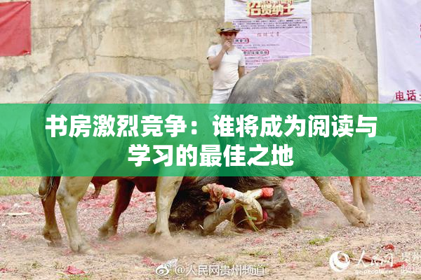 书房激烈竞争：谁将成为阅读与学习的最佳之地