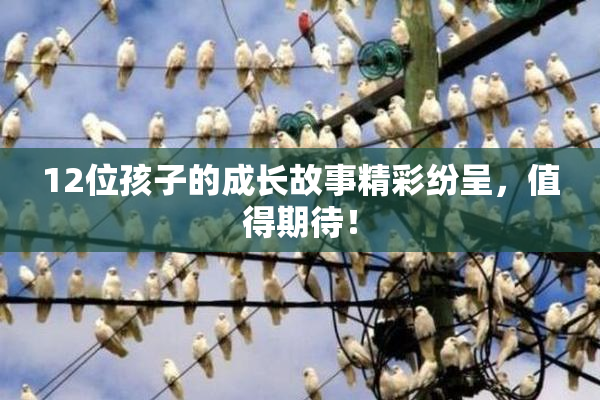 12位孩子的成长故事精彩纷呈，值得期待！