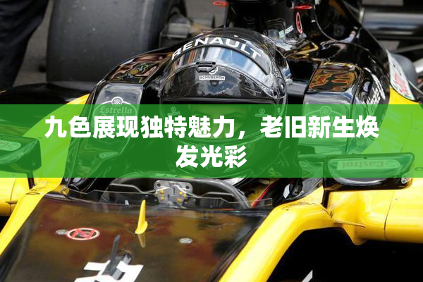 九色展现独特魅力，老旧新生焕发光彩