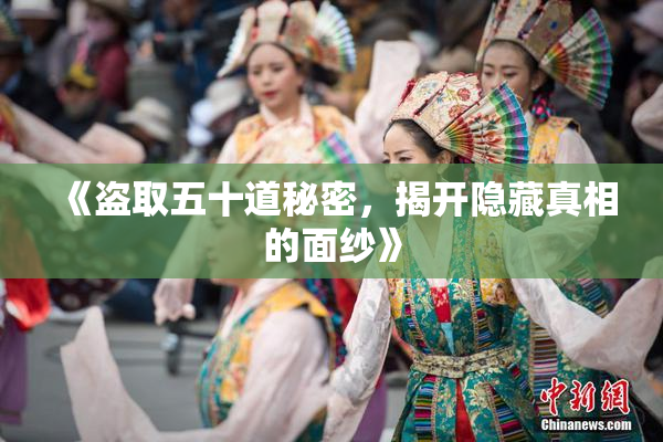 《盗取五十道秘密，揭开隐藏真相的面纱》