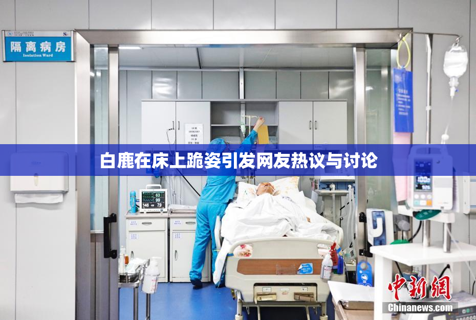 白鹿在床上跪姿引发网友热议与讨论
