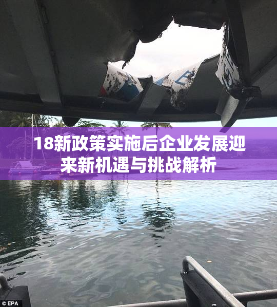 18新政策实施后企业发展迎来新机遇与挑战解析