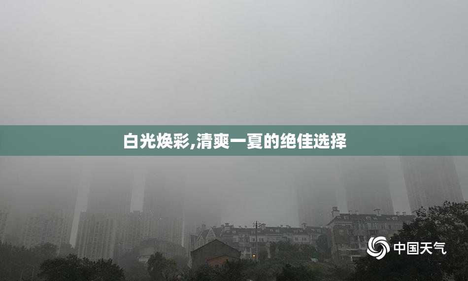 白光焕彩,清爽一夏的绝佳选择