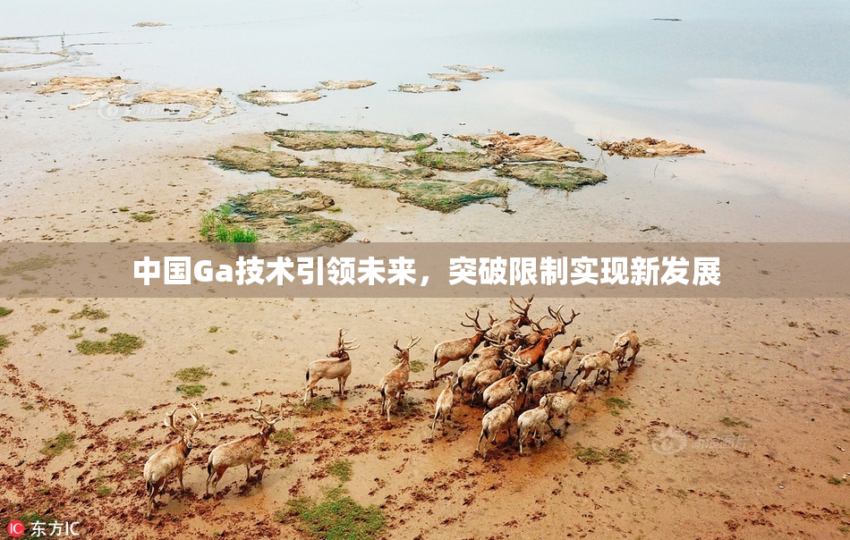 中国Ga技术引领未来，突破限制实现新发展