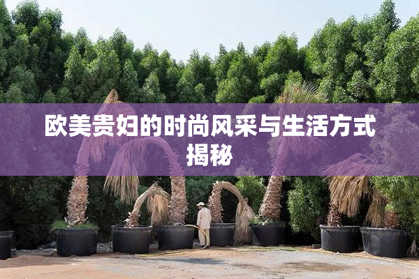 欧美贵妇的时尚风采与生活方式揭秘