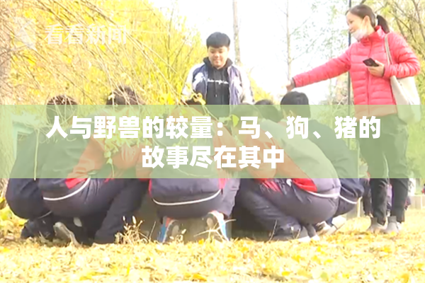 人与野兽的较量：马、狗、猪的故事尽在其中