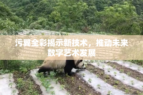 污翼全彩揭示新技术，推动未来数字艺术发展