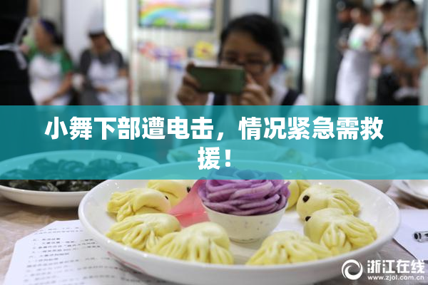 小舞下部遭电击，情况紧急需救援！