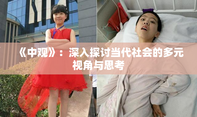 《中观》：深入探讨当代社会的多元视角与思考