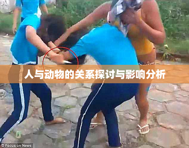 人与动物的关系探讨与影响分析