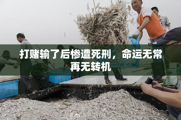 打赌输了后惨遭死刑，命运无常再无转机