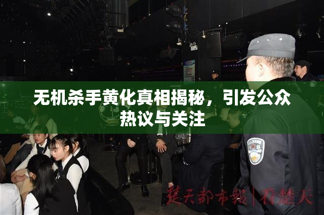 无机杀手黄化真相揭秘，引发公众热议与关注