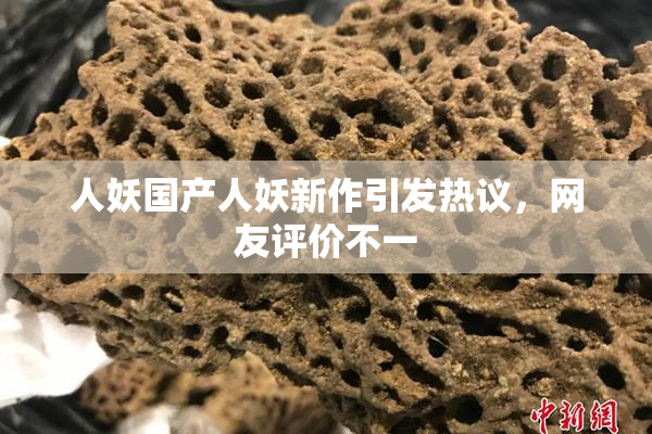 人妖国产人妖新作引发热议，网友评价不一