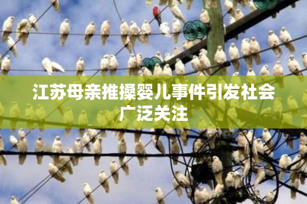 江苏母亲推搡婴儿事件引发社会广泛关注