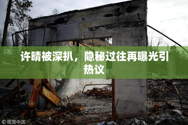 许晴被深扒，隐秘过往再曝光引热议