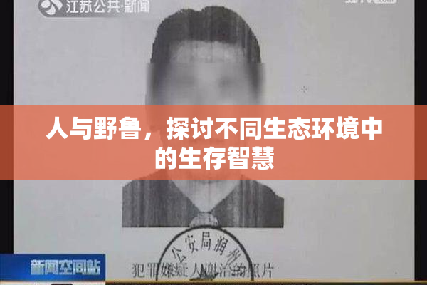 人与野鲁，探讨不同生态环境中的生存智慧