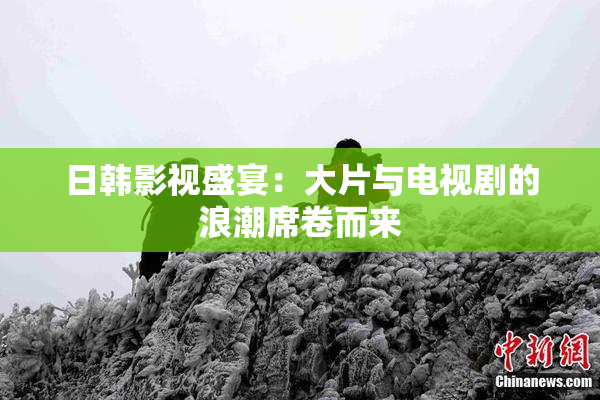 日韩影视盛宴：大片与电视剧的浪潮席卷而来