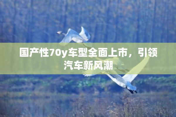 国产性70y车型全面上市，引领汽车新风潮