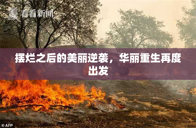 摆烂之后的美丽逆袭，华丽重生再度出发