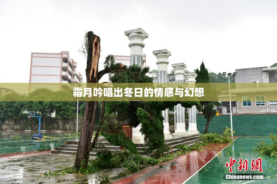 霜月吟唱出冬日的情感与幻想