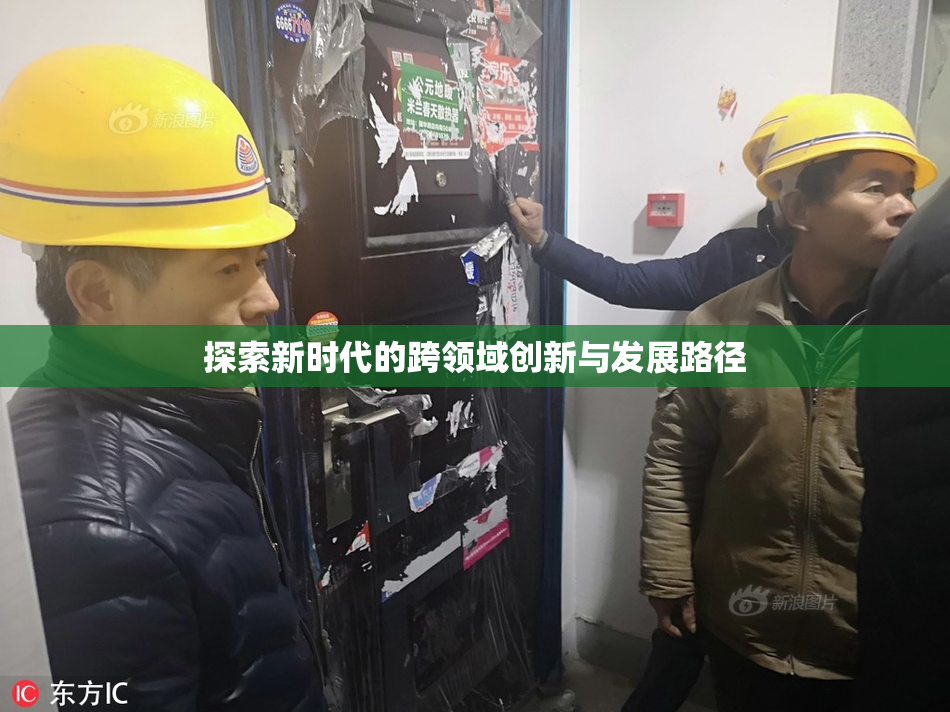探索新时代的跨领域创新与发展路径