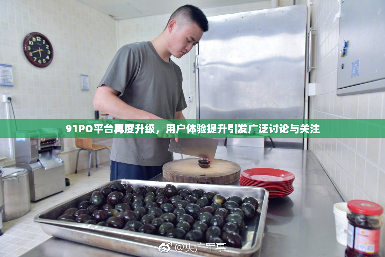 91PO平台再度升级，用户体验提升引发广泛讨论与关注