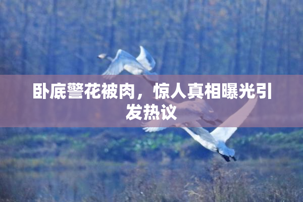卧底警花被肉，惊人真相曝光引发热议