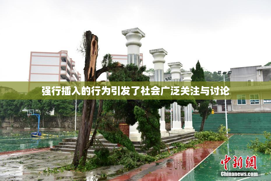强行插入的行为引发了社会广泛关注与讨论