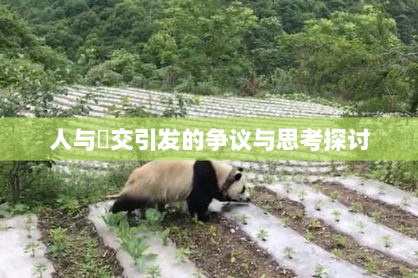 人与嘼交引发的争议与思考探讨