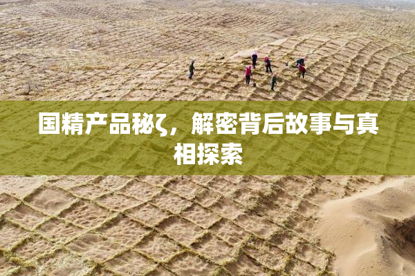 国精产品秘ζ，解密背后故事与真相探索