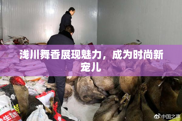 浅川舞香展现魅力，成为时尚新宠儿