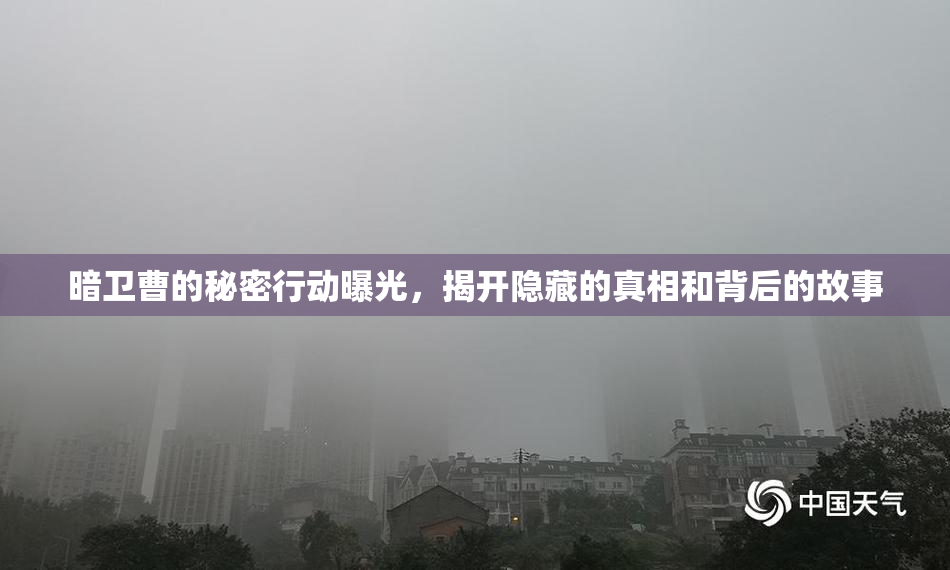 暗卫曹的秘密行动曝光，揭开隐藏的真相和背后的故事