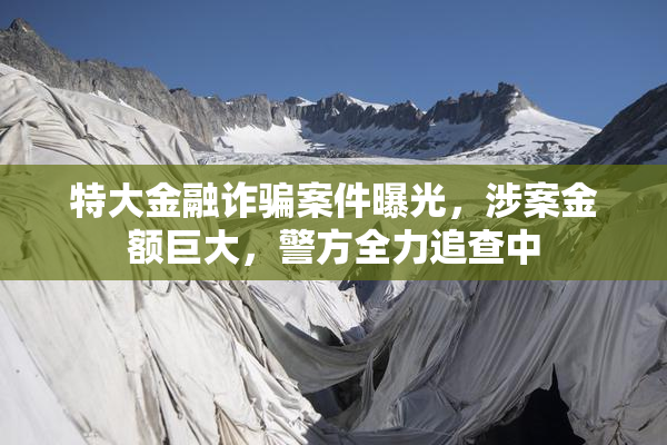 特大金融诈骗案件曝光，涉案金额巨大，警方全力追查中