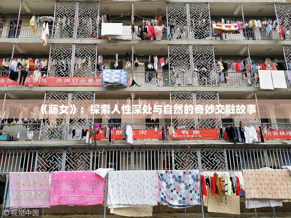 《藤女》：探索人性深处与自然的奇妙交融故事