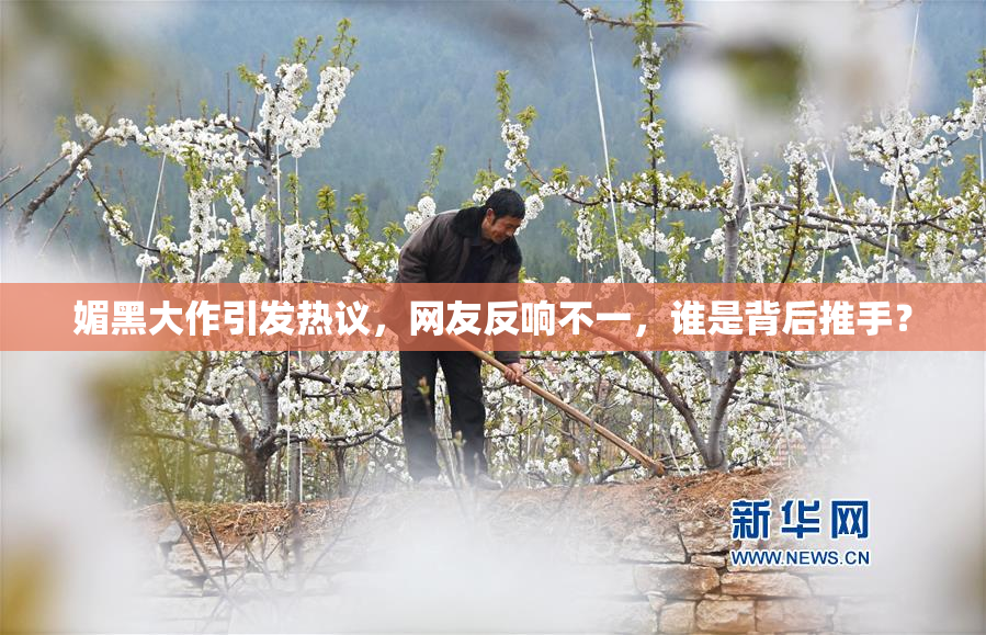 媚黑大作引发热议，网友反响不一，谁是背后推手？