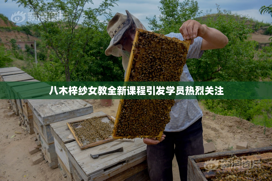 八木梓纱女教全新课程引发学员热烈关注