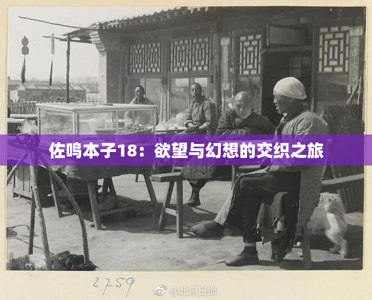 佐鸣本子18：欲望与幻想的交织之旅