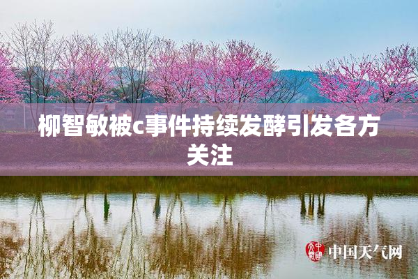 柳智敏被c事件持续发酵引发各方关注