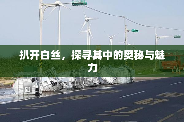 扒开白丝，探寻其中的奥秘与魅力
