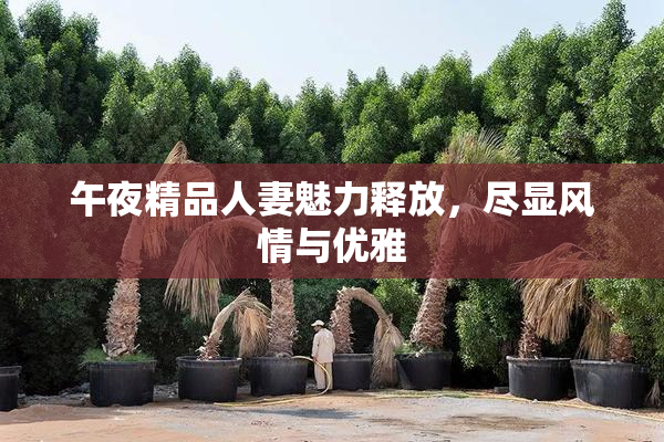 午夜精品人妻魅力释放，尽显风情与优雅
