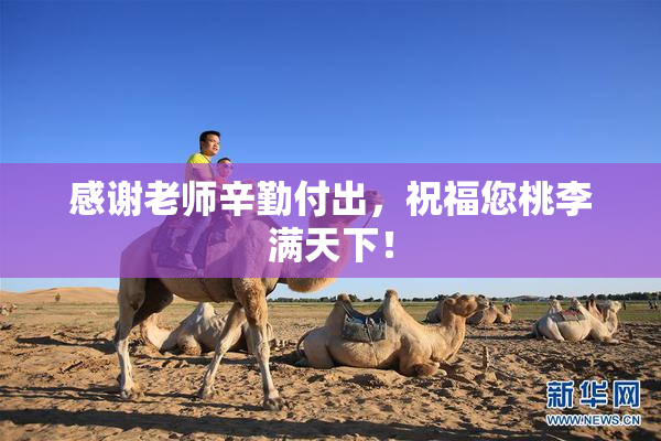 感谢老师辛勤付出，祝福您桃李满天下！