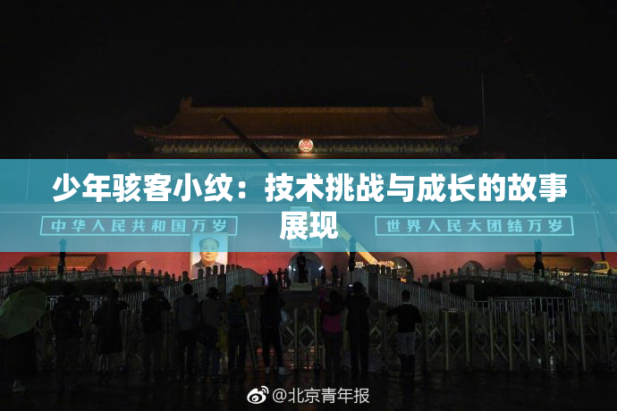 少年骇客小纹：技术挑战与成长的故事展现