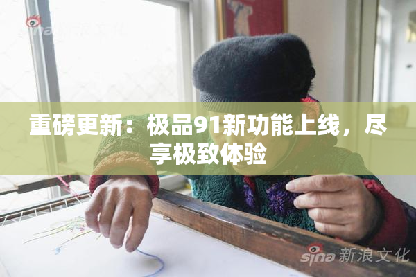重磅更新：极品91新功能上线，尽享极致体验