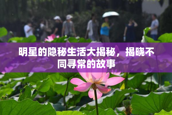 明星的隐秘生活大揭秘，揭晓不同寻常的故事
