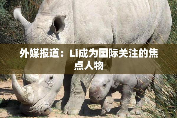 外媒报道：Li成为国际关注的焦点人物