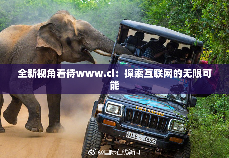 全新视角看待www.ci：探索互联网的无限可能
