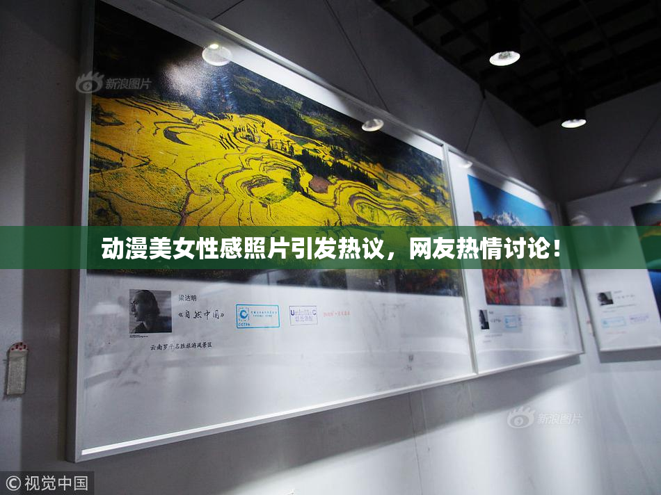动漫美女性感照片引发热议，网友热情讨论！
