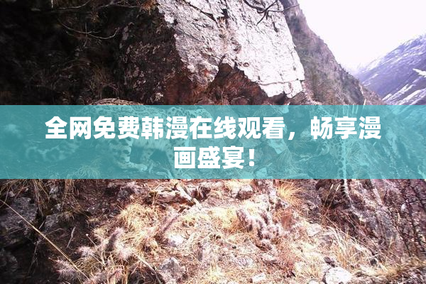全网免费韩漫在线观看，畅享漫画盛宴！