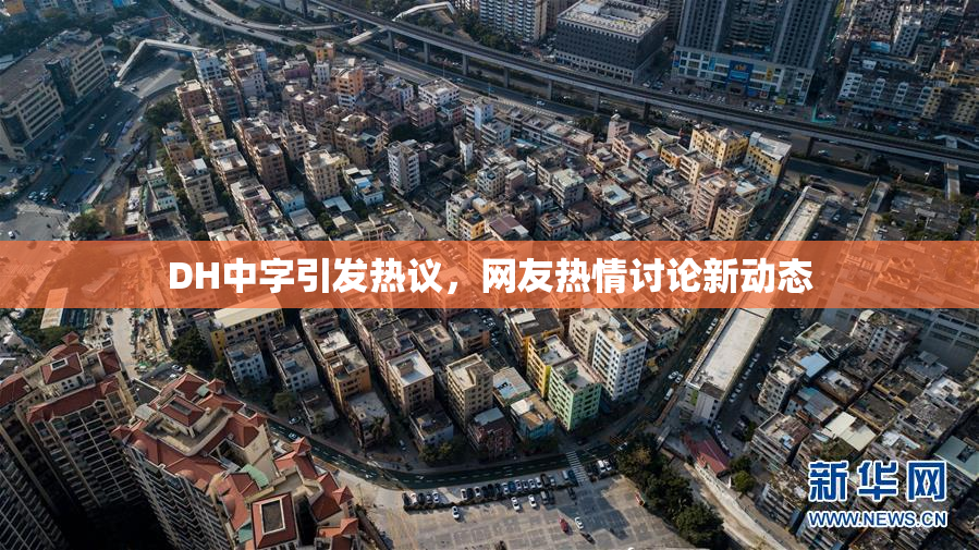 DH中字引发热议，网友热情讨论新动态